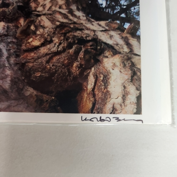 Korbin Berg Mount Horeb, WI Fine Art Photographer/Nature Print 8.5x11" - Picture 3 of 5